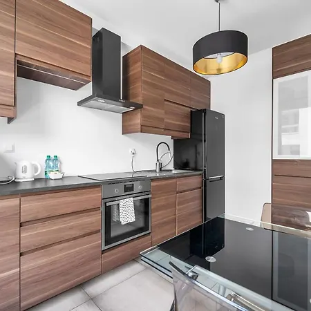 Apartment Kolska Grey *