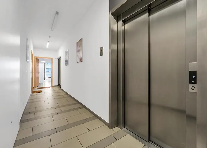 Kolska Grey * Varsó